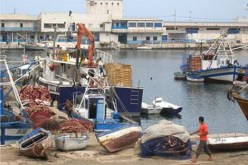 تدشين فضاء “ملتقى الفنانين” بمسمكة الجزائر العاصمة