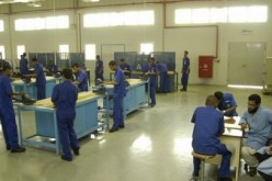 بوتفليقة يؤكد أن معركة خلق مناصب شغل ستظل من المحاور الكبرى لسياسة التنمية الوطنية