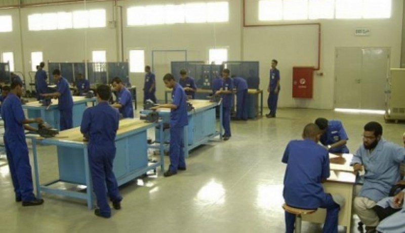 بوتفليقة يؤكد أن معركة خلق مناصب شغل ستظل من المحاور الكبرى لسياسة التنمية الوطنية