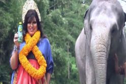 الفنانة”فيفي عبده” أول ضحايا “رامز في الشلال” والأخير مهدد بالتوقف