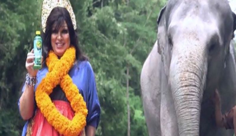 الفنانة”فيفي عبده” أول ضحايا “رامز في الشلال” والأخير مهدد بالتوقف