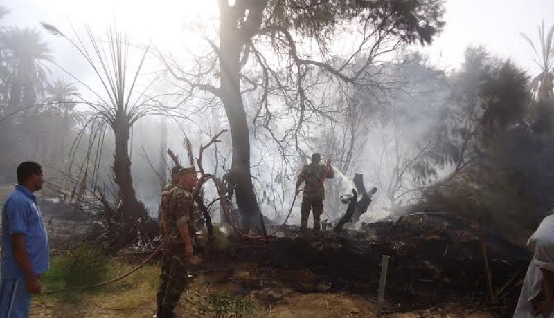 بالصور الجيش الشعبي الوطني يتدخل لإخماد حريق مهول  بجانت