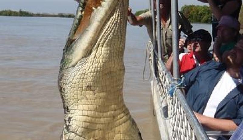 تمساح قريه مونغو القاتل الذى التهم نصف سكان القريه