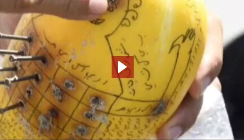 بالفيديو.. العثور على ثمرة غريبة بطلاسم