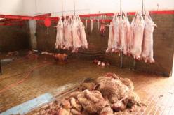 جمعية سيت آرت تنشط من اجل تحويل مذابح العاصمة إلى مصانع ثقافية