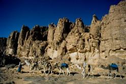 جمعيات ثقافية تدعو المترشحين للاهتمام بالثقافة