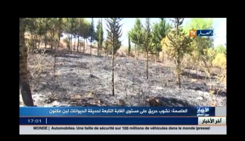 بالفيديو.. حريق يأتي على1هكتار من حديقة التسلية بين عكنون في العاصمة