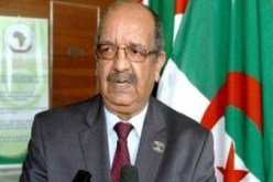 المصادقة على نص القانون المتعلق بالسمعي البصري خطوة عملاقة