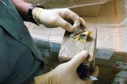 احباط محاولة تهريب 31 كلغ من الكيف خاج الوطن في مغنية