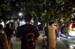 بالفيديو.. لعبة بوكيمون غو تصيب نيويورك بشلل مروري