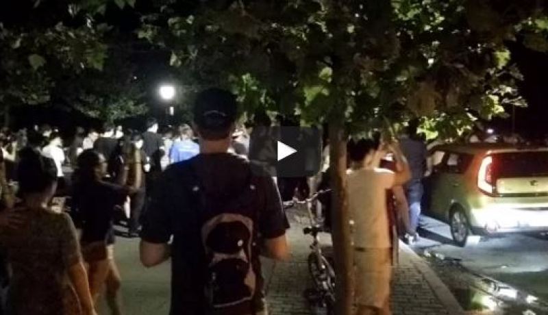 بالفيديو.. لعبة بوكيمون غو تصيب نيويورك بشلل مروري