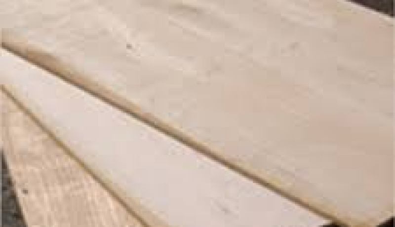 منتجو المواد الأولية ومواد التعليب معنيون بالرسم على القيمة المضافة بدءا من جويلية المقبل