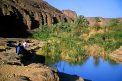 مختصون يدعون الى تغطية اعلامية اكبر لمناطق الجنوب الجزائري