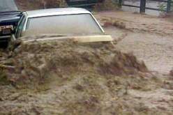 أضرار و طرق مقطوعة عقب عاصفة هوجاء مصحوبة برياح قوية بلغت سرعتها 70 كلم