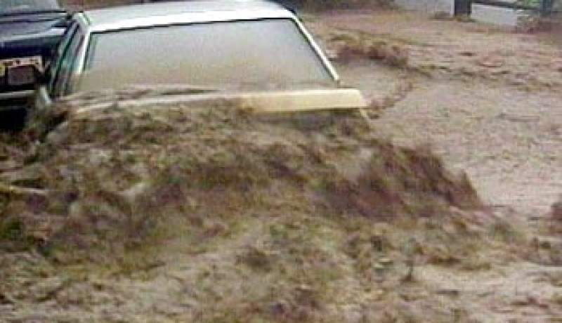 أضرار و طرق مقطوعة عقب عاصفة هوجاء مصحوبة برياح قوية بلغت سرعتها 70 كلم