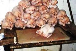 العنابيون أكلوا دجاجا فاسدا مغسولا بالجافيل