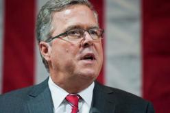 جيب بوش يتهيأ لانتخابات الرئاسة الأميركية