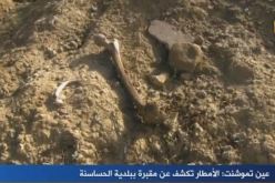 بالفيديو.. الأمطار تكشف عن مقبرة في الحساسنة بعين تموشنت