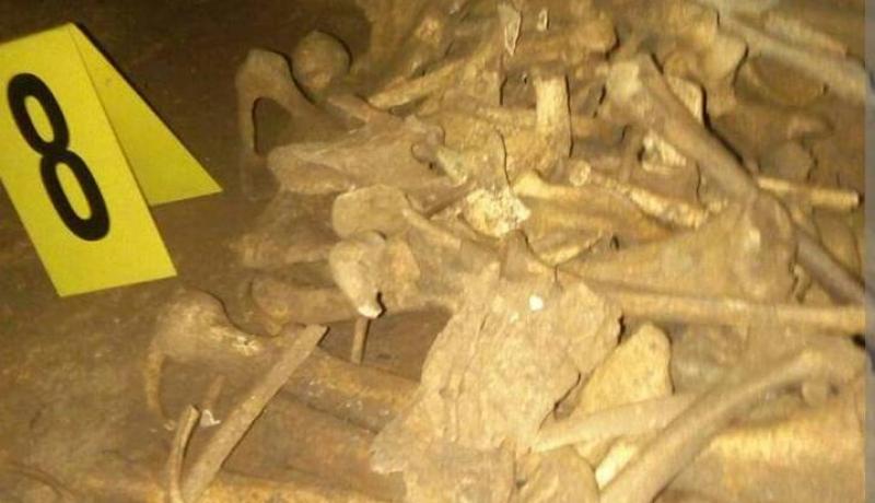 بالصور العثور على رفاة شهداء في بومرداس بعد 55 سنة من الإستقلال