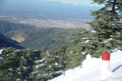 تساقط إستثنائي للثلوج على الأطلس البليدي