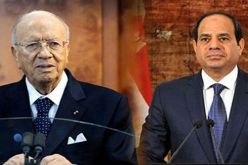 مشادات بين الأمن المصري والتونسي خلال لقاء السبسي والسيسي