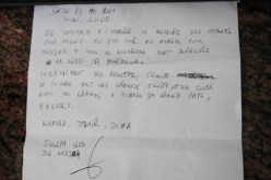 جوزيف جاد “الخضر منتخب كبير وسيلعب مع الكبار”