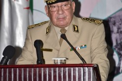 قايد صالح يؤكد أن الثورة التحريرية ستبقى مصدر فخر الشعب الجزائري