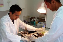 نقابة البياطرة تهدد بالعودة للاحتجاج الأسبوع المقبل