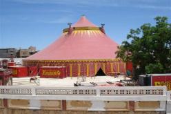 سيرك عمار يعود من أرديس بعروض جديدة