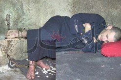أب يكبّل ابنه المختل عقليا بالسلاسل الحديدية منذ 10 سنوات في أم البواقي