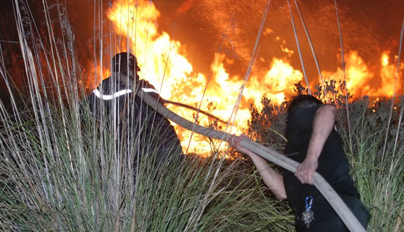 النيران تلتهم مئات الهكتارات من أشجار التين والزيتون بعمال في‮ ‬بومرداس