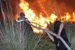 معظم الحرائق نشبت على حواف الطرقات ومناطق تجمّع المواطنين في‮ ‬الغابات‮ ‬