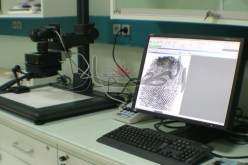 20 قضية قتـل عالقة لدى الشرطة سـنة 2012