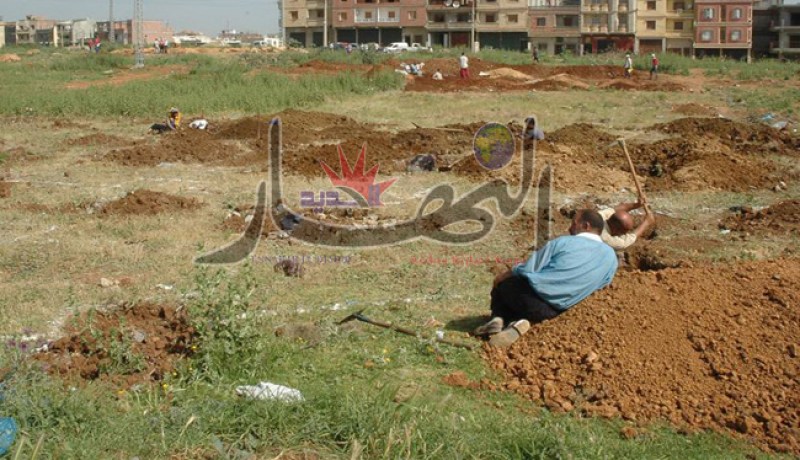 تزوّر أمرا بالقبض ضد مغتربة وتبيع أراضيها بـ30 مليارا OPGI عصابة تضم موظفا بـ