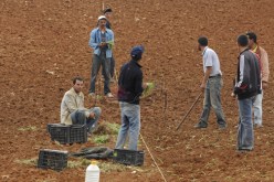 بنك الفلاحة و التنمية الريفية يمسح ديونا تفوق 21 مليار دج لفائدة الفلاحين