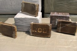 10 آلاف شومار يروّجون الزطلة والإيكستازي في الجزائر