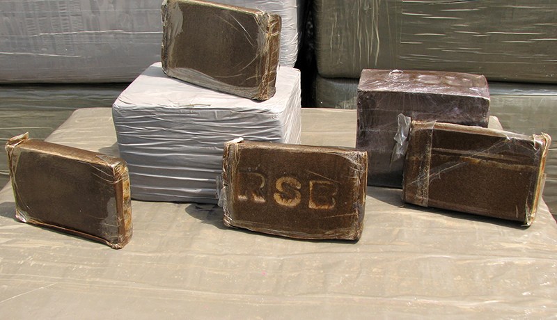 10 آلاف شومار يروّجون الزطلة والإيكستازي في الجزائر