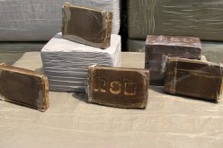 توقيف باروني مخدرات متلبسين ببيع 500 غ من «الزطلة» بحديقة الحيوانات في بن عكنون