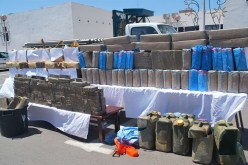 حجز 50 قنطارا من الكيف مغلفة بالألمنيوم لتفادي رصدها من طرف الكلاب المدربة في تلسمان