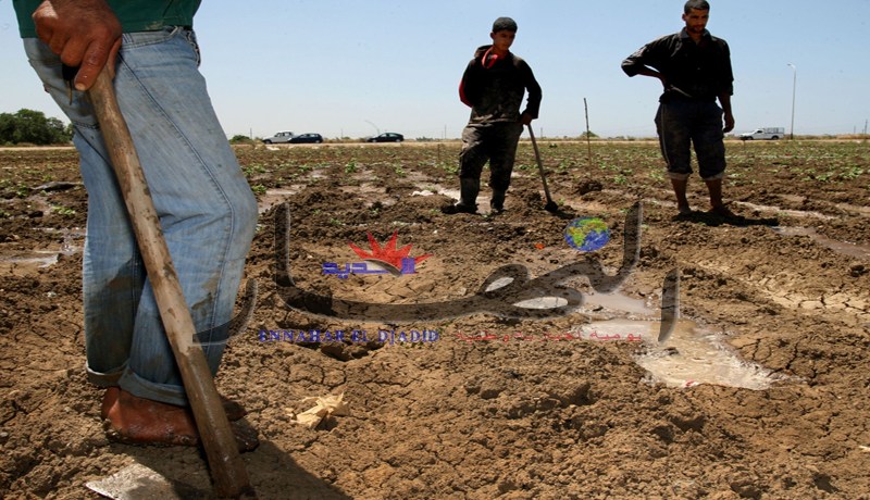 ؟001 مليون ''تعويض الوفاة'' لعائلات الفلاحين