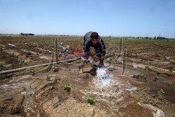 مدرسة عليا للفلاحين  قريبـا