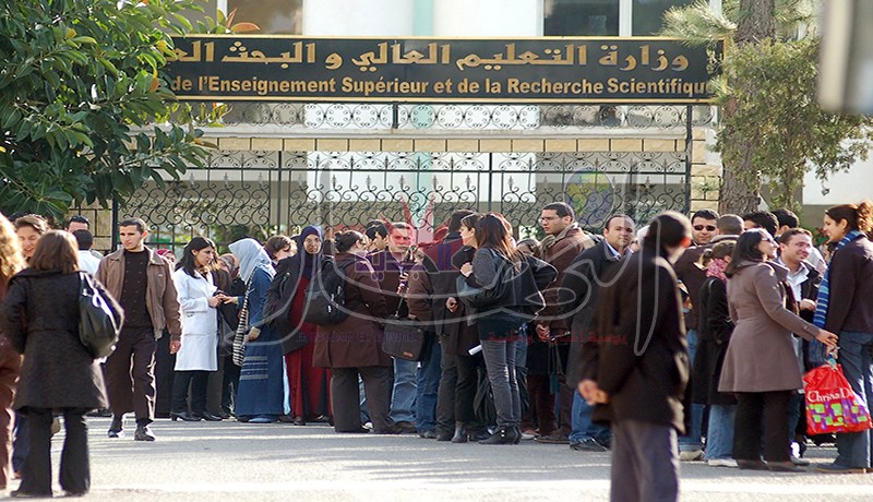 مسابقة وطنية للدكاترة الجامعيين تؤهّلهم للمشاركة في أكاديمية العلوم