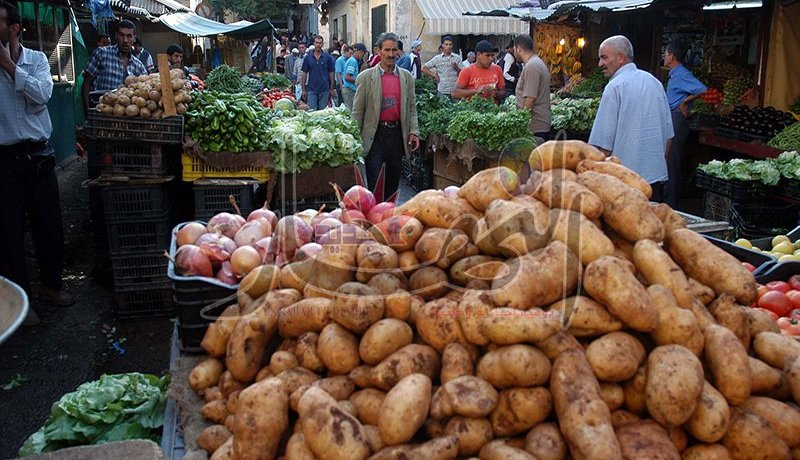 أسعار البطاطا ستصل إلى 200 دينار للكيلوغرام خلال سنوات