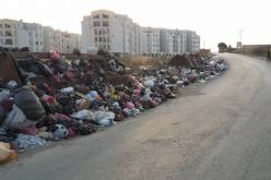 بالصور- النفايات تشوّه أحياء برج منايل