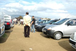 رخص مؤقتة لـ 6 أشهر قابلة للتمديد لممارسة نشاط الوكيل والموزع المعتمد ومعيد البيع المعتمد