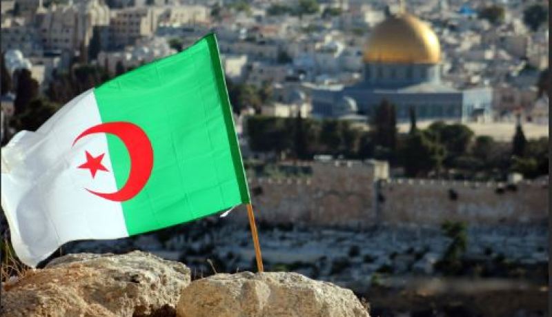 برلمانيون جزائريون يدافعون في بلجيكا عن القدس عاصمة للدولة الفلسطينية