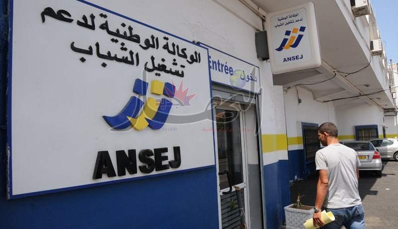 المدير العام لأونساج يكشف عن انشاء فيدرالية للمقاولين الشباب