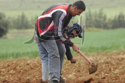 تأمينات للفلاحين بـالفاسيلتي ومخفضة بـ50 %