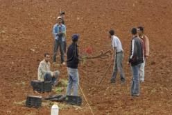 عُقود عمل دائمة لعشرات الآلاف من موظفي المزارع النموذجية