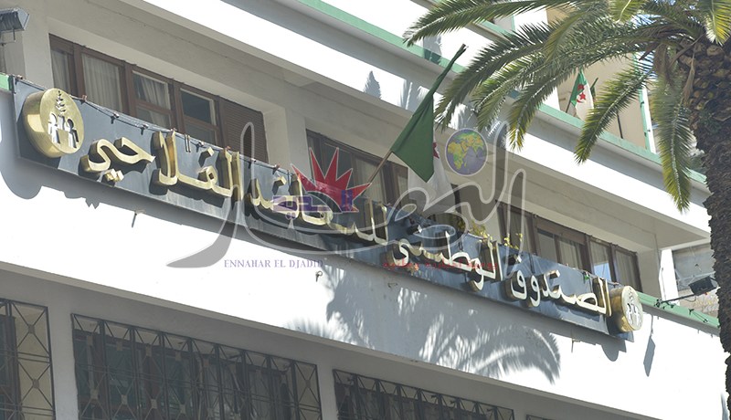 فلاحون نهبوا صندوق CNMA ويتقاضون رواتب بغير وجه حق